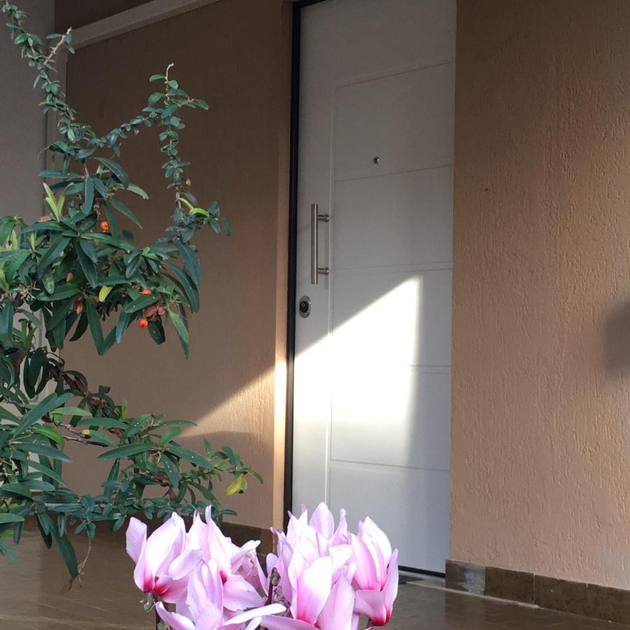 Casa Di Lucia B&B Ladispoli Εξωτερικό φωτογραφία